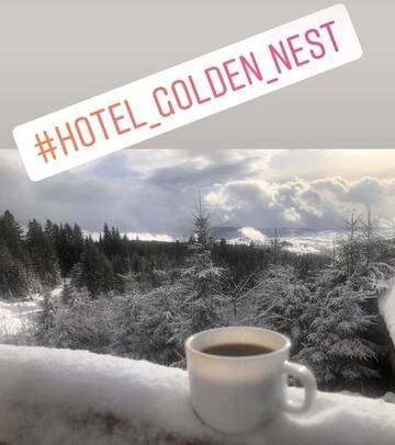 Фотографии Апартаменты Golden Nest г. Яблоница (Украина) №2 Фото Апартаменты Golden Nest г. Яблоница 2