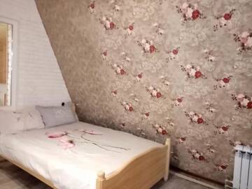 Фото номера Шале с двумя спальнями Шале Альпийское Шалле г. Яблоница 49