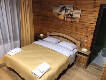 Фото номера Двухместный номер с 1 кроватью Апартаменты Golden Nest г. Яблоница 15